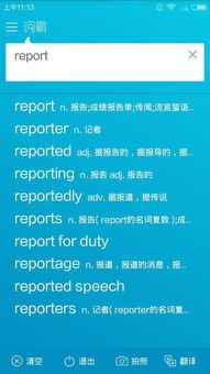 report是什么意思