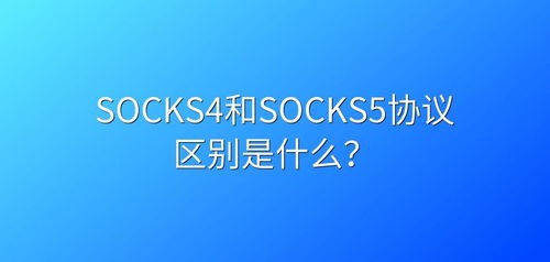 socks是什么意思
