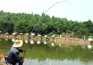 农家乐钓鱼