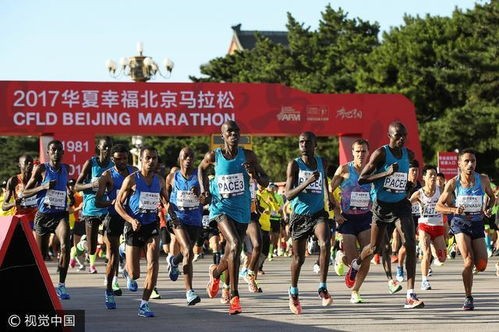 北京马拉松2023年比赛时间(2023北京大兴半程马拉松鸣枪起跑)