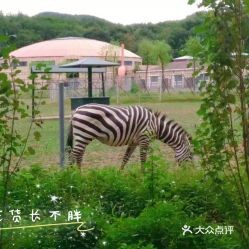 北方森林动物园门票价格(黑龙江省北方森林动物园)