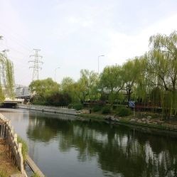 北滨河公园在哪个位置(北京中轴线,竟然藏着这么多宝藏公园)