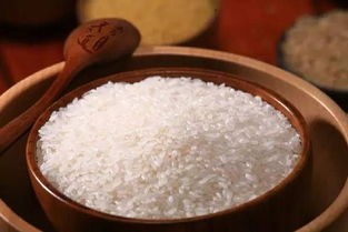 大米价格(5月29日新报价:南方地区稻米市场价格动态!)