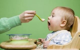 婴儿不吃饭怎么办