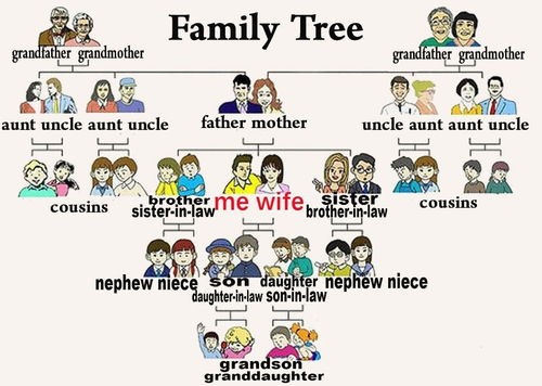 家庭的英文family(house, home &family 的区别)