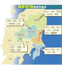 中国禁止进口日本辐射区(核辐射区食品怎么打假)