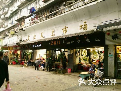武汉花鸟市场有卖狗的在哪里(武汉更具代表性的六个市场)