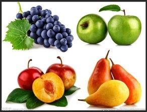 水果的种类(这些水果,你分得清楚吗?)