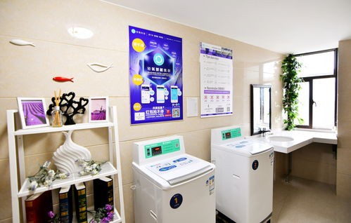 洗衣服务平台(陕西洗衣小程序 一站式洗护保养综合平台)