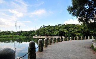 深圳东湖公园