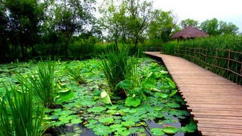 湿地公园景观设计方案