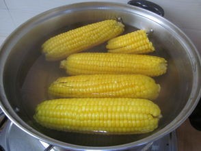 煮玉米怎么煮好吃