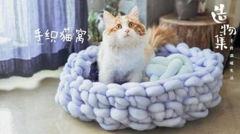 猫窝制作方法 保暖(如何自制猫窝 为猫咪定制一个温暖的家)