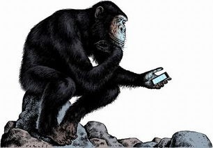 猿人时代是多少年前(科普:世界各地最早的古人类都是谁)