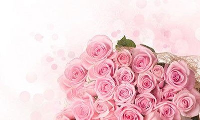 粉色玫瑰花代表什么意思(永恒的爱—粉色玫瑰花语)