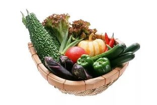 绿色食品是什么意思解释(有机食品和绿色食品,有哪些区别?)