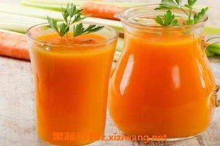 胡萝卜汁怎么做(胡萝卜汁怎么做 胡萝卜汁的做法大全)