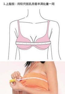 胸围测量(女性正确测量"胸围大小",了解更健康)