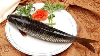 草鱼的营养价值(冬季吃这4种鱼养生效果好)