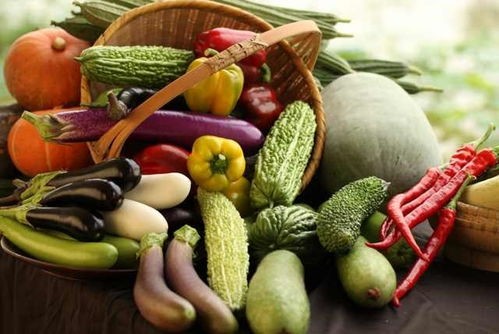 蔬菜种类(家里常买常吃的100种蔬菜)