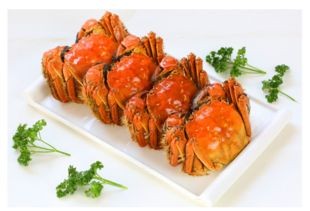 螃蟹吃什么食物(我们吃螃蟹,那螃蟹吃什么?)