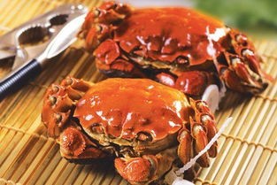 螃蟹吃什么食物(我们吃螃蟹,那螃蟹吃什么?)