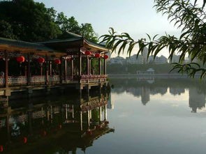 西湖公园的景点介绍(杭州西湖的景点介绍)