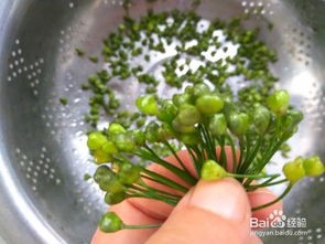 韭菜花的腌制方法(韭菜花的正确腌制方法,放一年不怕坏)
