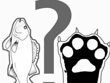 鱼和熊掌为什么不能兼得(鱼和熊掌为什么不可兼得?)