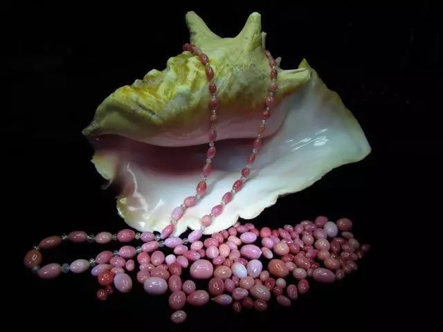 海螺珠多少钱一克拉(揭秘海螺珠,比钻石还珍贵的稀世珍宝)-易百科